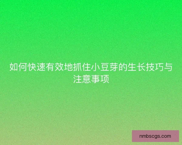 如何快速有效地抓住小豆芽的生长技巧与注意事项