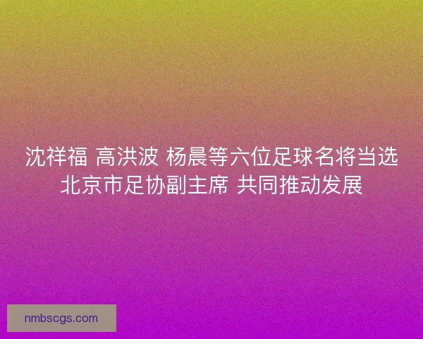 沈祥福 高洪波 杨晨等六位足球名将当选北京市足协副主席 共同推动发展
