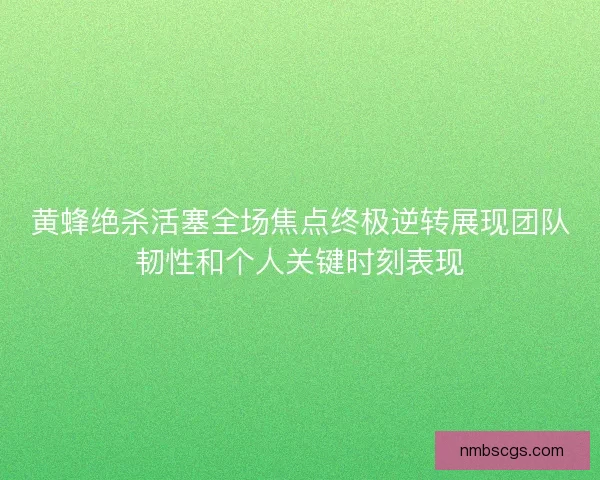 黄蜂绝杀活塞全场焦点终极逆转展现团队韧性和个人关键时刻表现 黄蜂绝杀活塞全场焦点终极逆转展现团队韧性和个人关键时刻表现